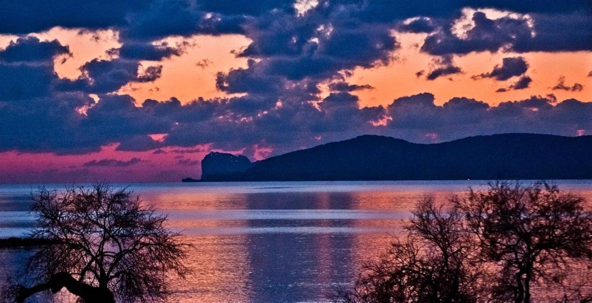 Casa Vacanze San Michele アルゲーロ エクステリア 写真